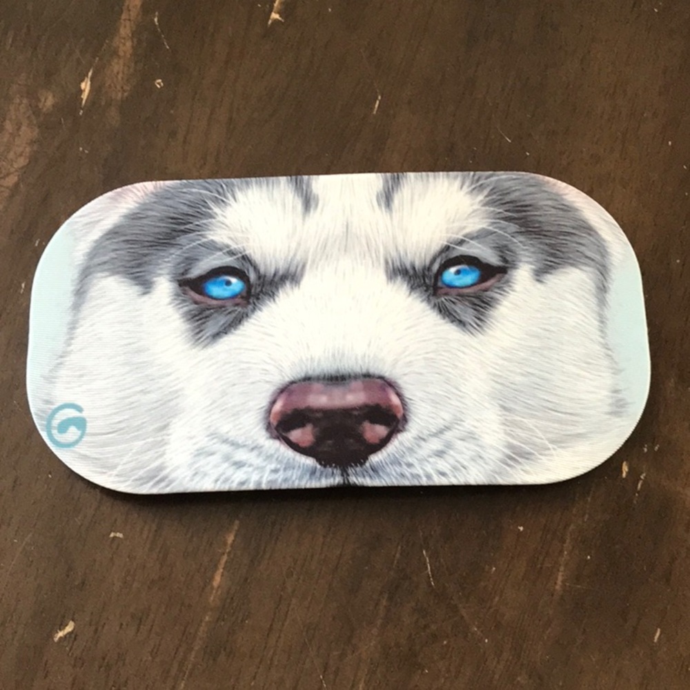 Ski snowboard goggle lens cover protector